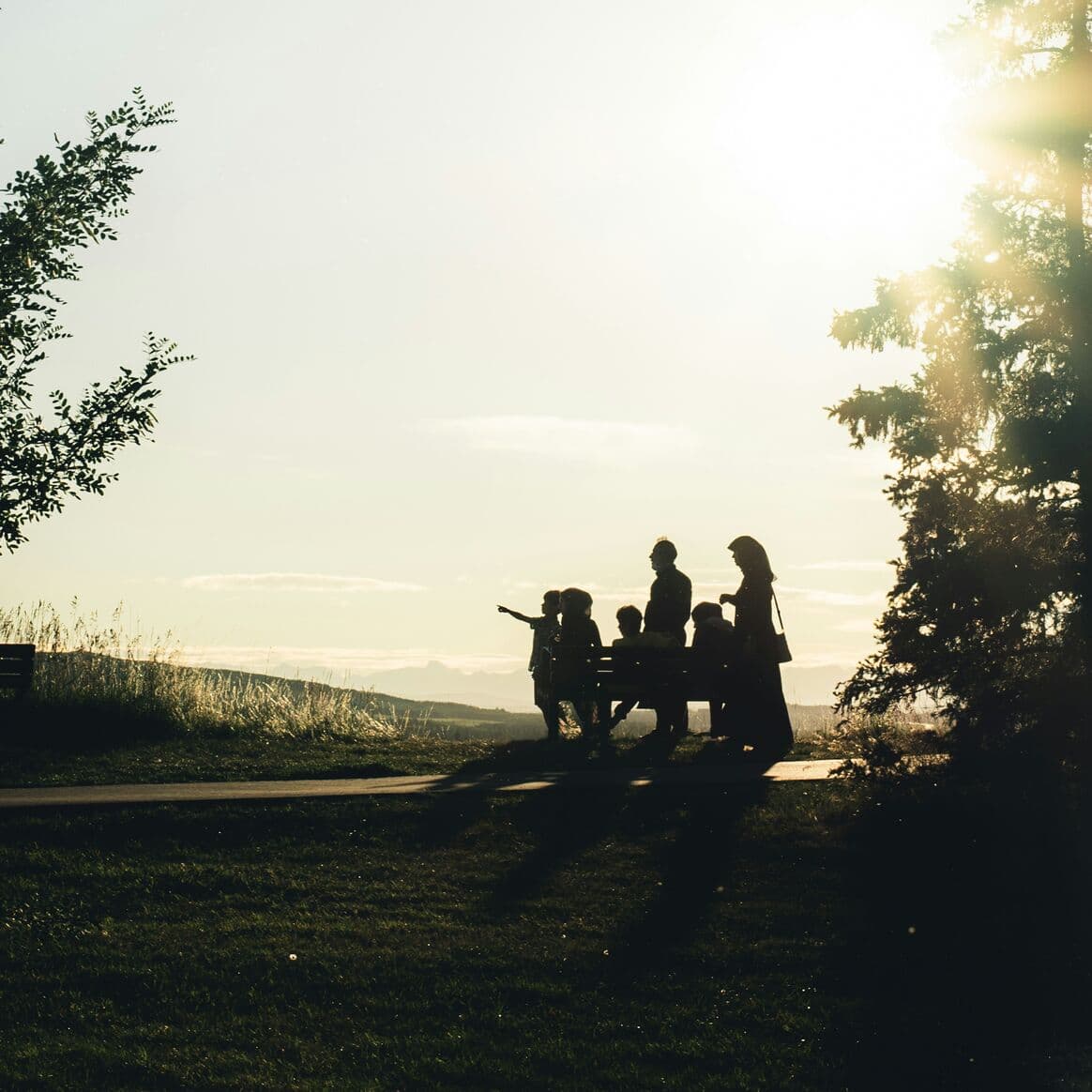 A group of people gathered around a bench on a grass verge, seen as silhouettes against a low sun.