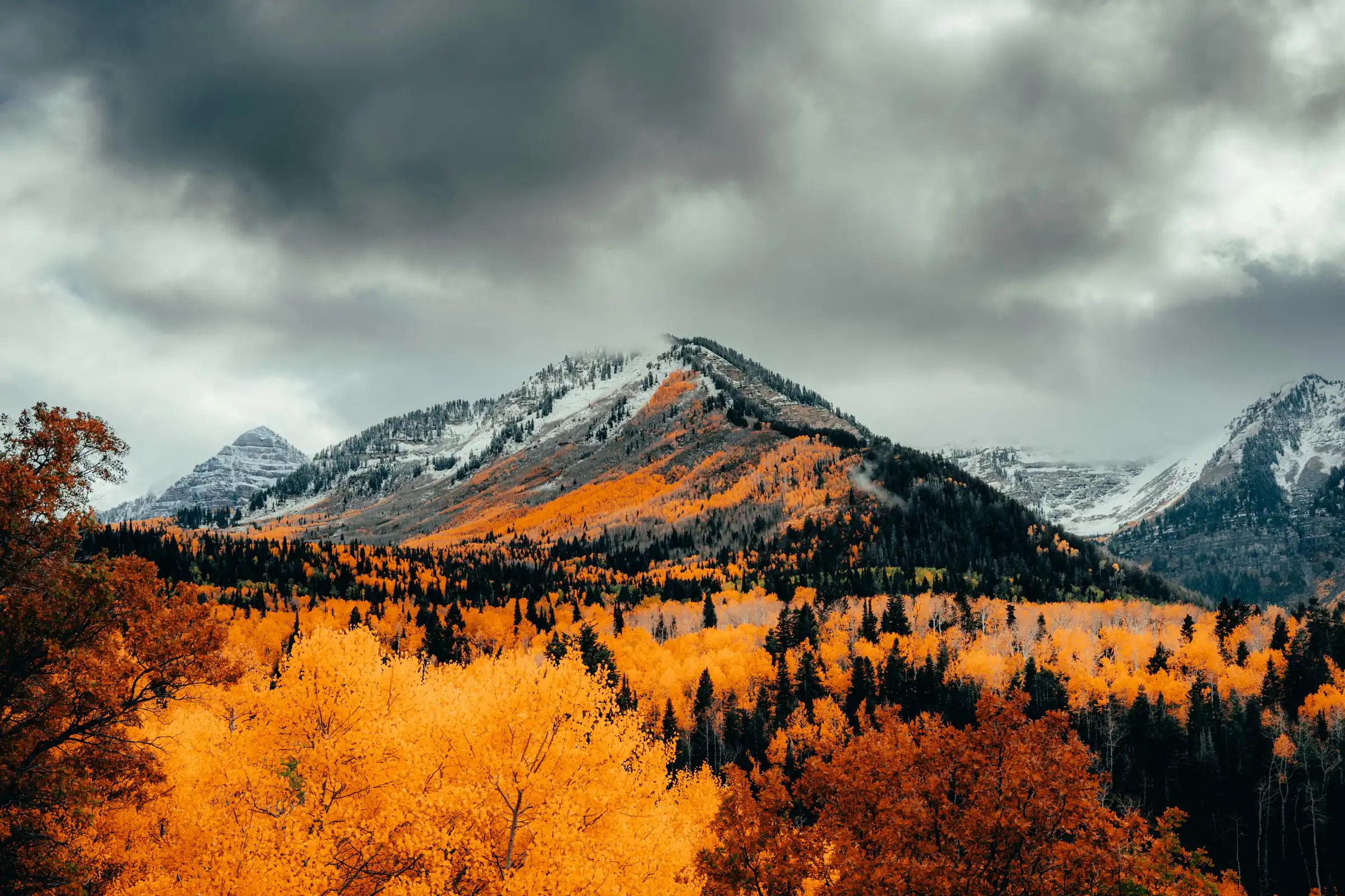 A snow-dusted mountain ridge under heavy grey cloud, above a hillside of orange autumn aspens.