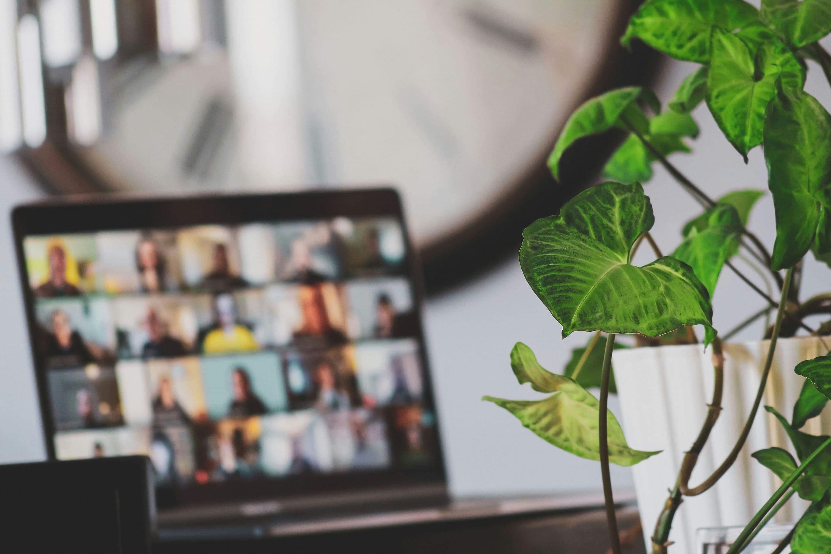 A laptop on a desk showing a video call with many participants in a grid, beside a houseplant.