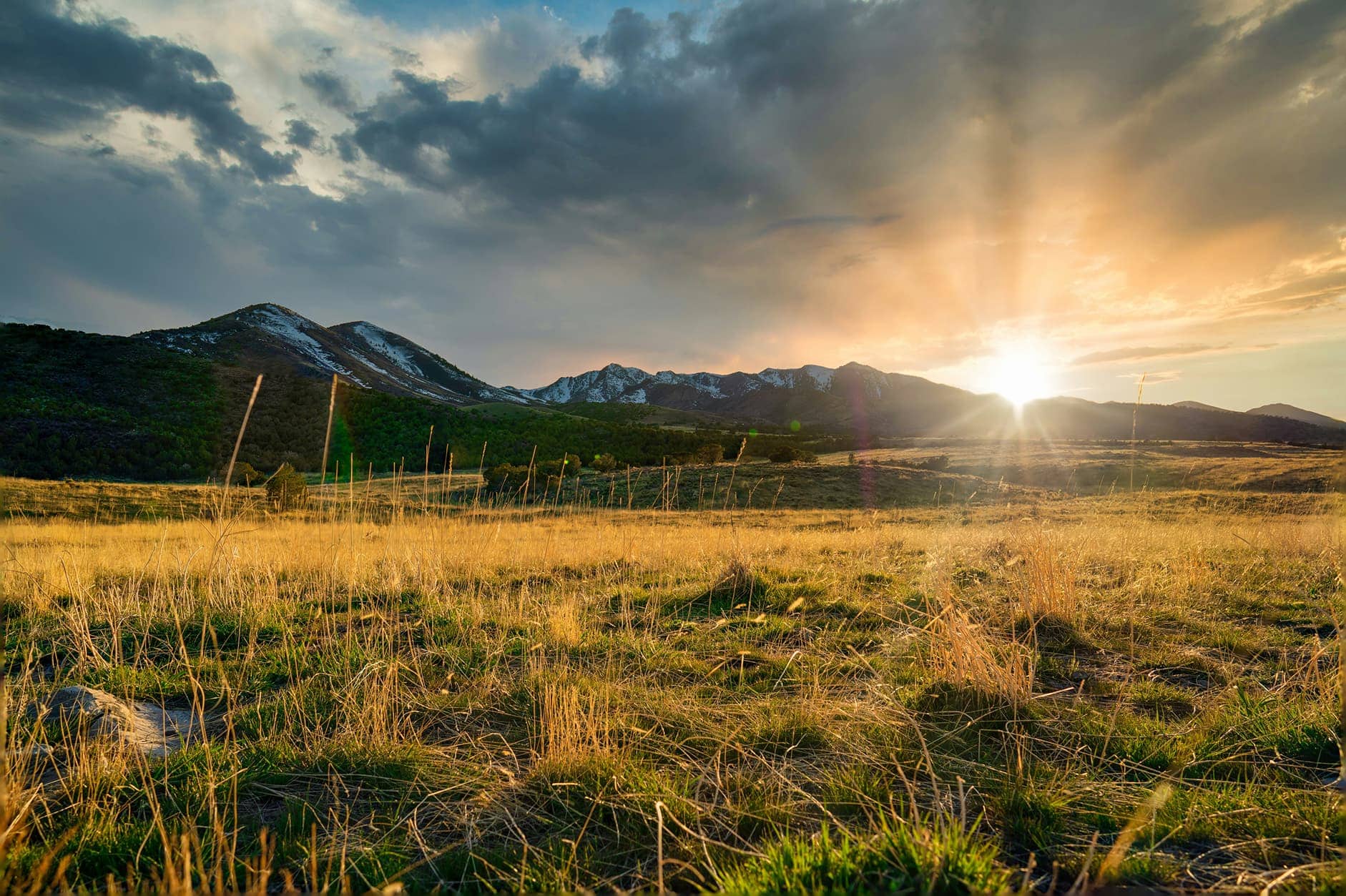 A grassy meadow below snow-capped mountains at sunset.