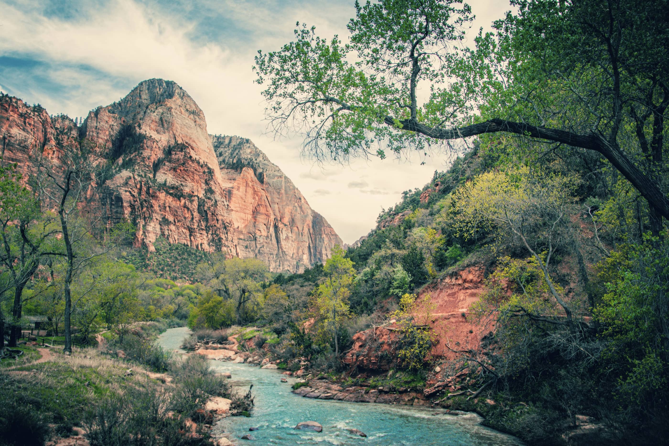 A river winding through a green canyon below tall red rock cliffs.